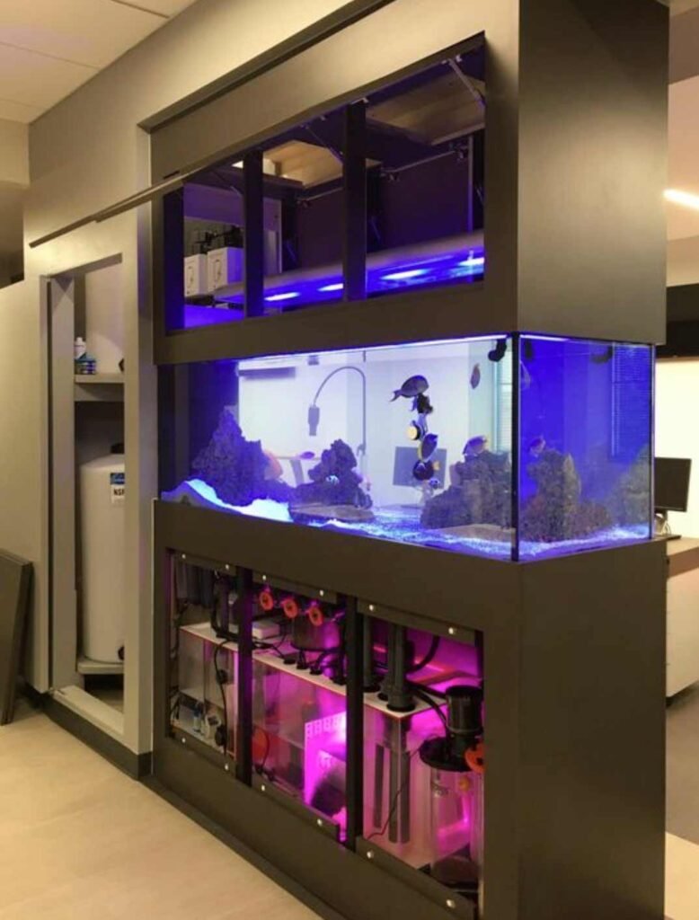 Pecera de vidrio con estantería integrada