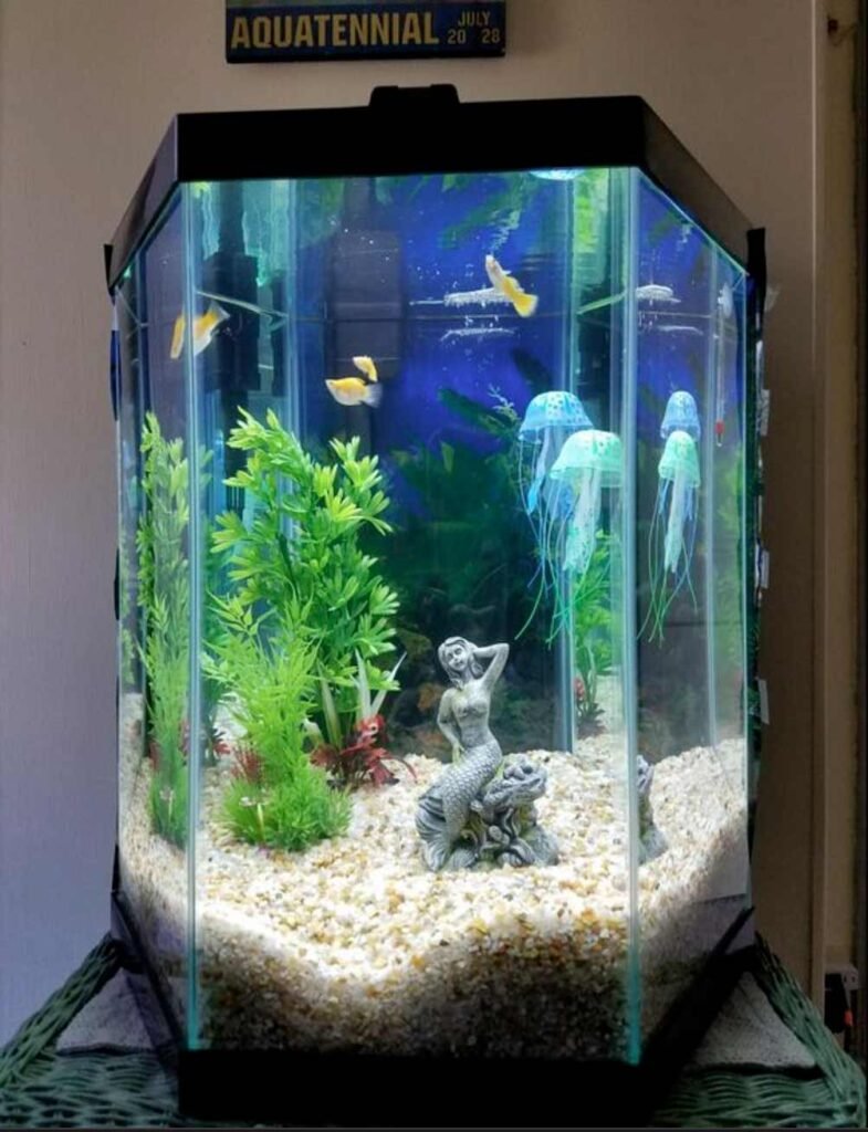 Pecera de vidrio hexagonal