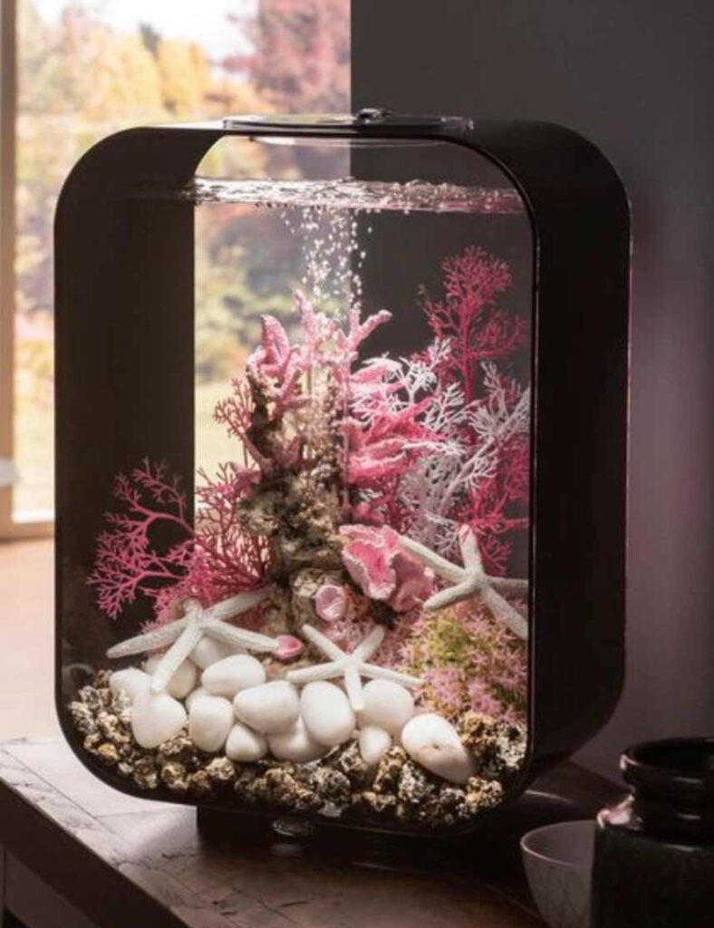 Pecera de vidrio minimalista