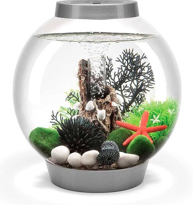 peceras-modernas---Acuario-clásico-15-con-luz-estándar