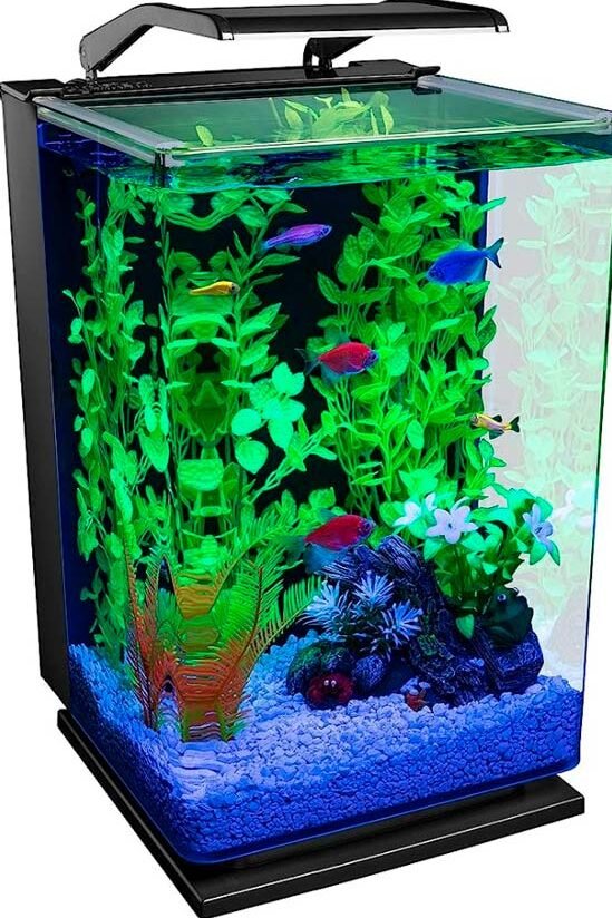 peceras-modernas---GloFish-Kit-de-acuario-pecera-
