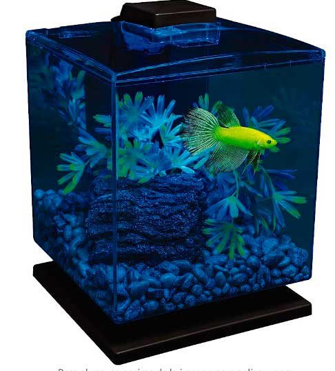 peceras-modernas---Tetra-glofish-Acuario-Kit