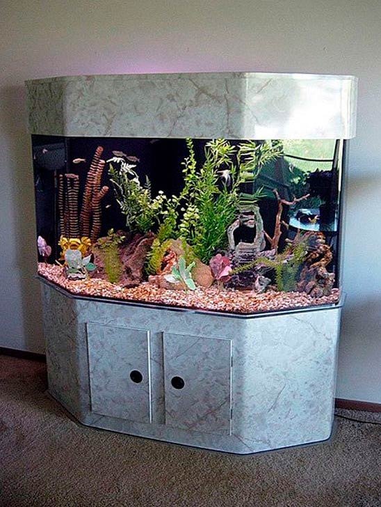 peceras-hexagonal---donde-elegir-