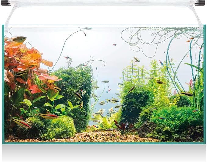 Acuario de Cristal 50 litros con Accesorios Kali60