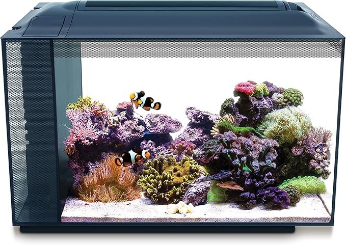Fluval EVO Negro Acuario de 50 litros con Leds