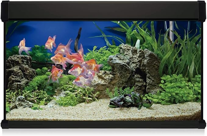 ICA KXP100N Kit Aqua Lux Pro